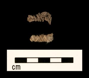 Two examples of tassels recovered from a Kentucky rockshelter. One of the tassels had feathers hanging from it! Courtesy the William S. Webb Museum of Anthropology, University of Kentucky.