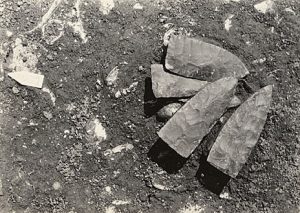 Cache of Stone Knives at Indian Knoll (15OH2), Ohio County, Kentucky, WPA/TVA Archives, presented courtesy of the William S. Webb Museum of Anthropology, University of Kentucky.